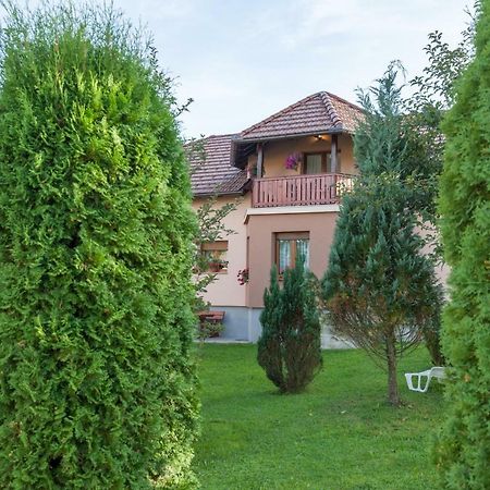 Apartment Ivan & Iva Gornji Vaganac Zewnętrze zdjęcie