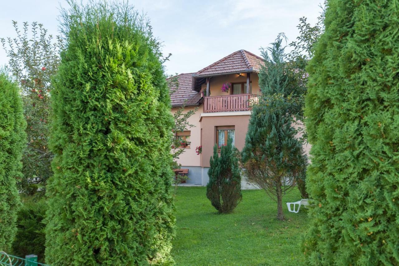 Apartment Ivan & Iva Gornji Vaganac Zewnętrze zdjęcie